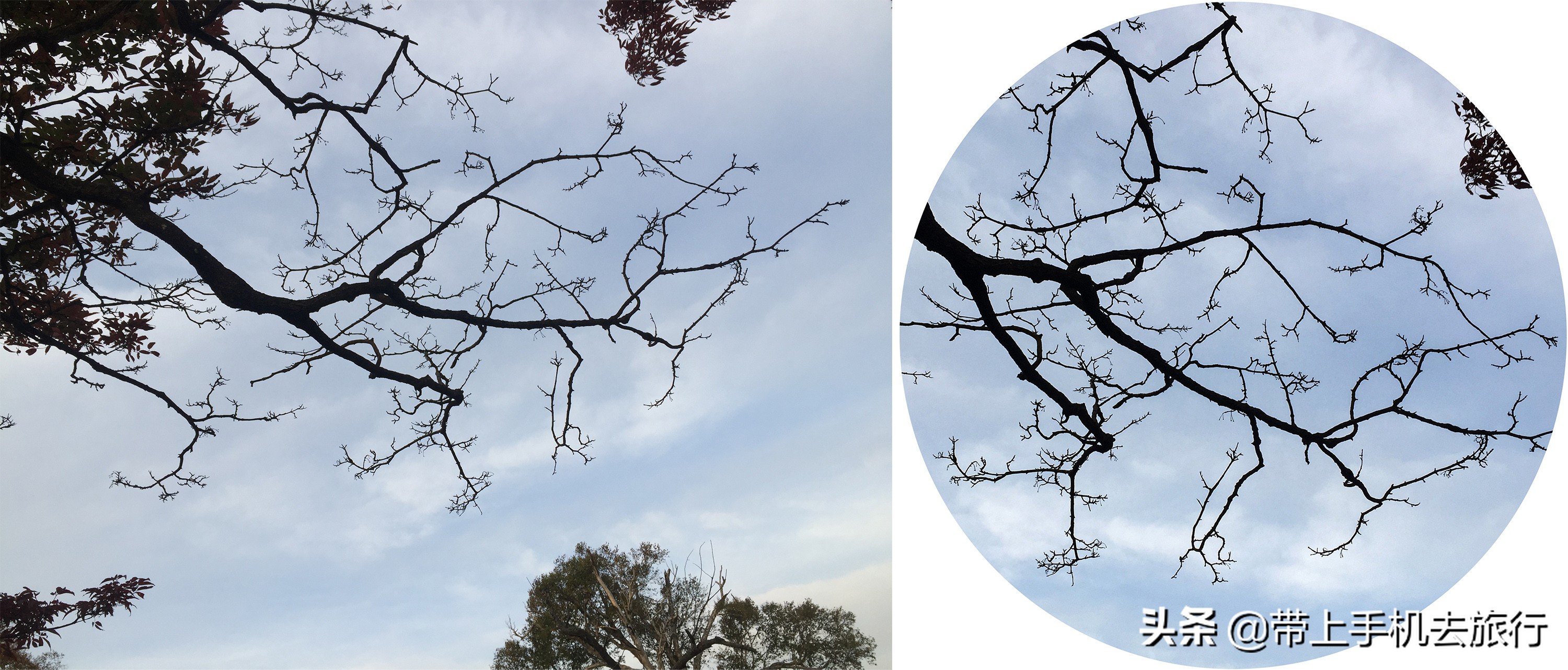 手机怎么拍出好看的画质,手机如何拍摄手机画面好看