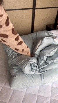 冬天需要一件暖心的外套,冬季白鹅绒被子