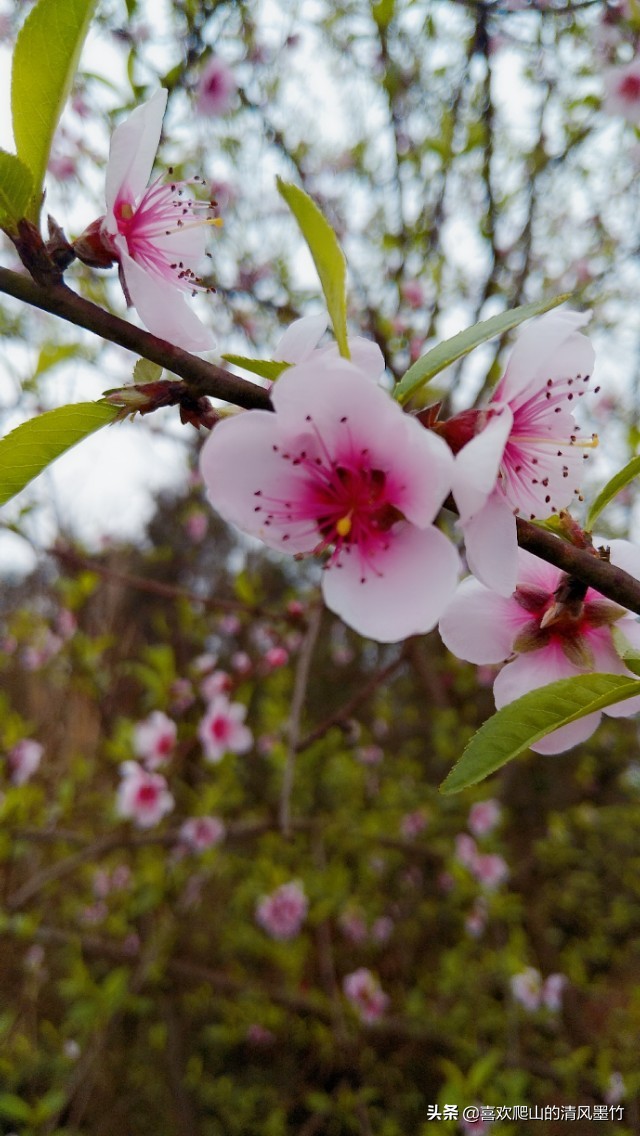 广安方坪乡，寻找传说中的朝阳洞