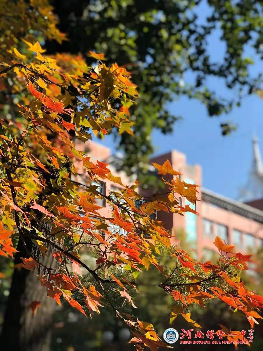 保定一中分校规划图,保定一中最新规划图