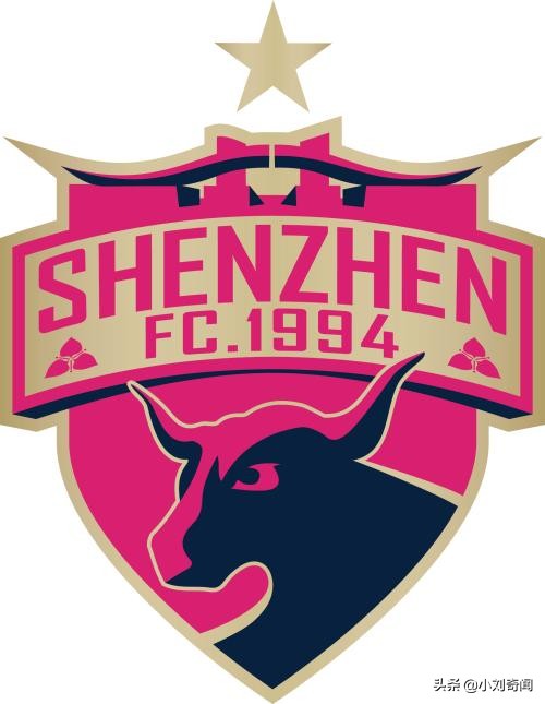 各球队工资排行榜,2022中超球员年薪排行前十