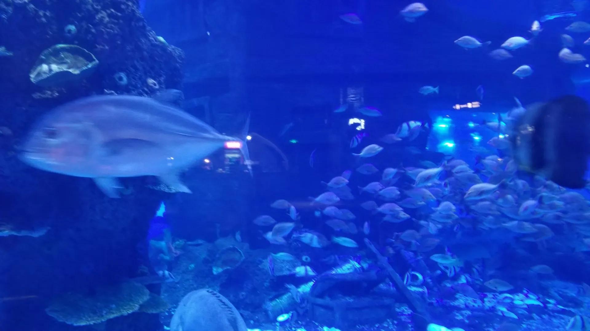 在长江大学读书是一种什么样的体验