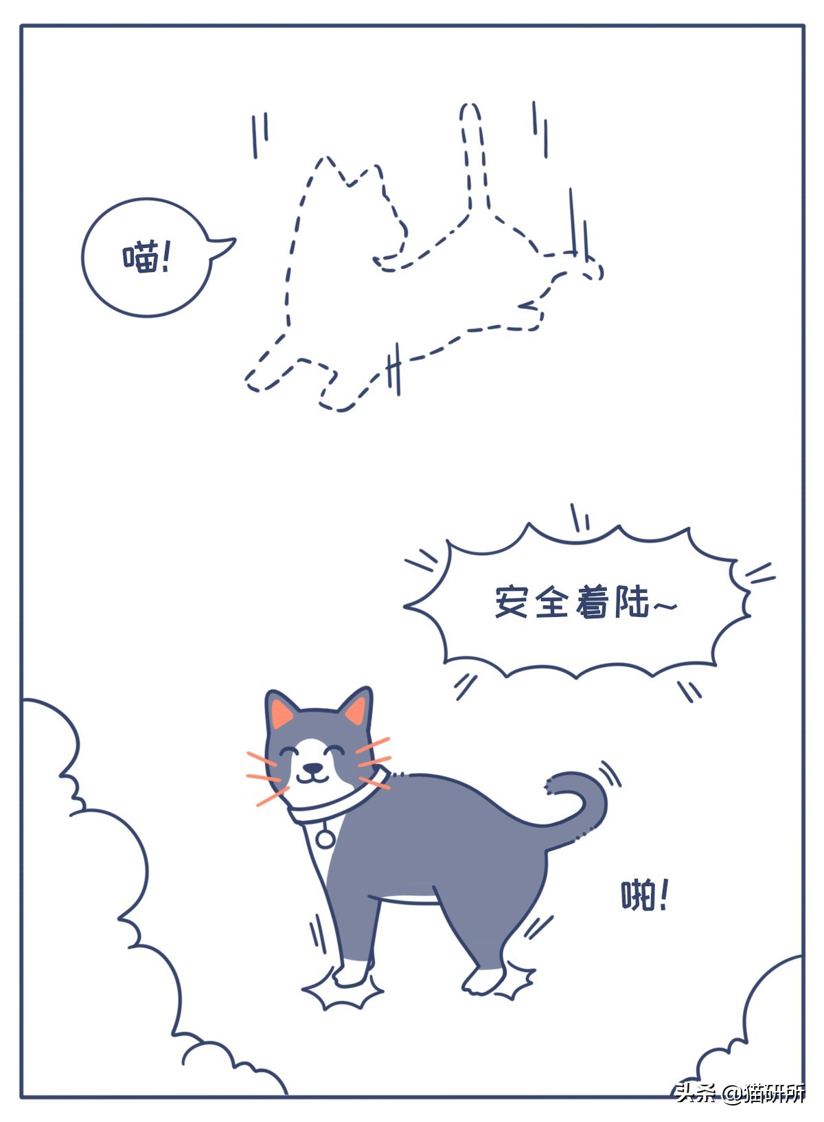 对猫的误解狂犬病,关于猫的冷知识有哪些