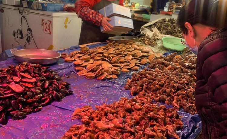 大连解放广场极品汇农贸市场,大连金州雍景湾农贸市场有哪些