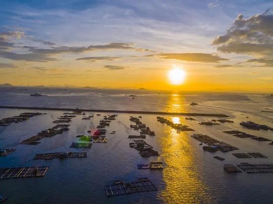 珠海海岛特色海鲜,珠海海岛10大绝美景点打卡攻略