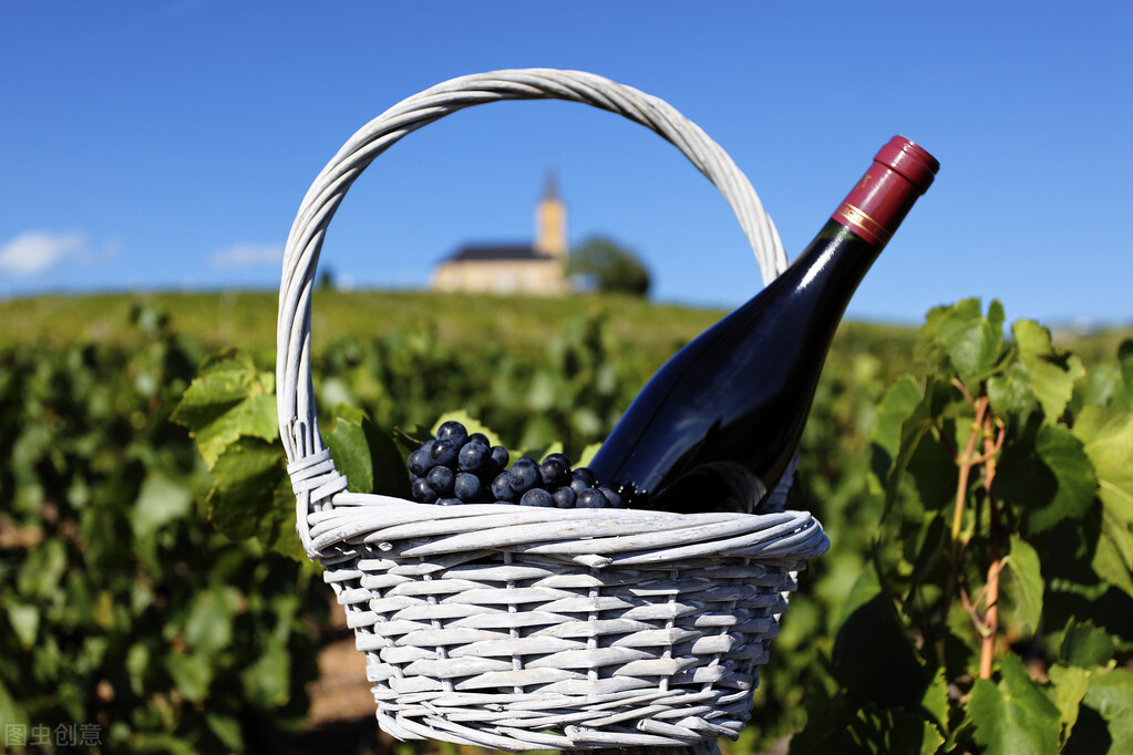 红酒入门实用指南品牌,认识红酒的最基本常识