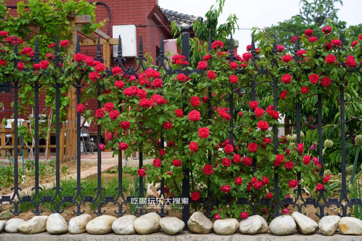 遇上浓浓的大连海蛎子味,青岛海蛎子旅游攻略