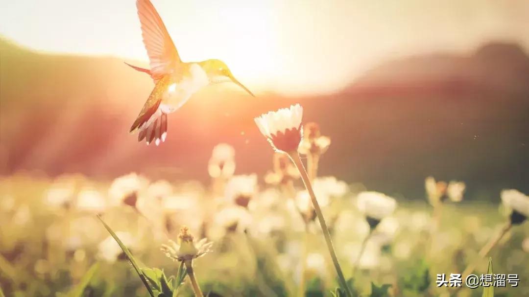 文言文常考通假字汇总,文言文通假字归纳汇总中职