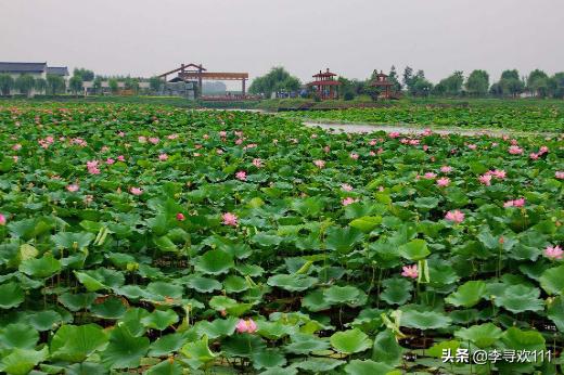 濮阳帝舜故里简介,为什么濮阳叫做帝舜故里