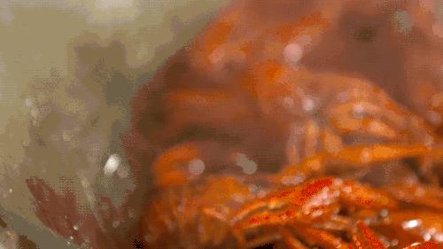 长沙小龙虾团购套餐99元10斤,88元4斤全城吃过瘾小龙虾优惠团购