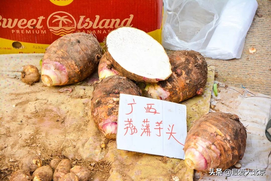 带你逛北京最大早市,北京正宗早市推荐