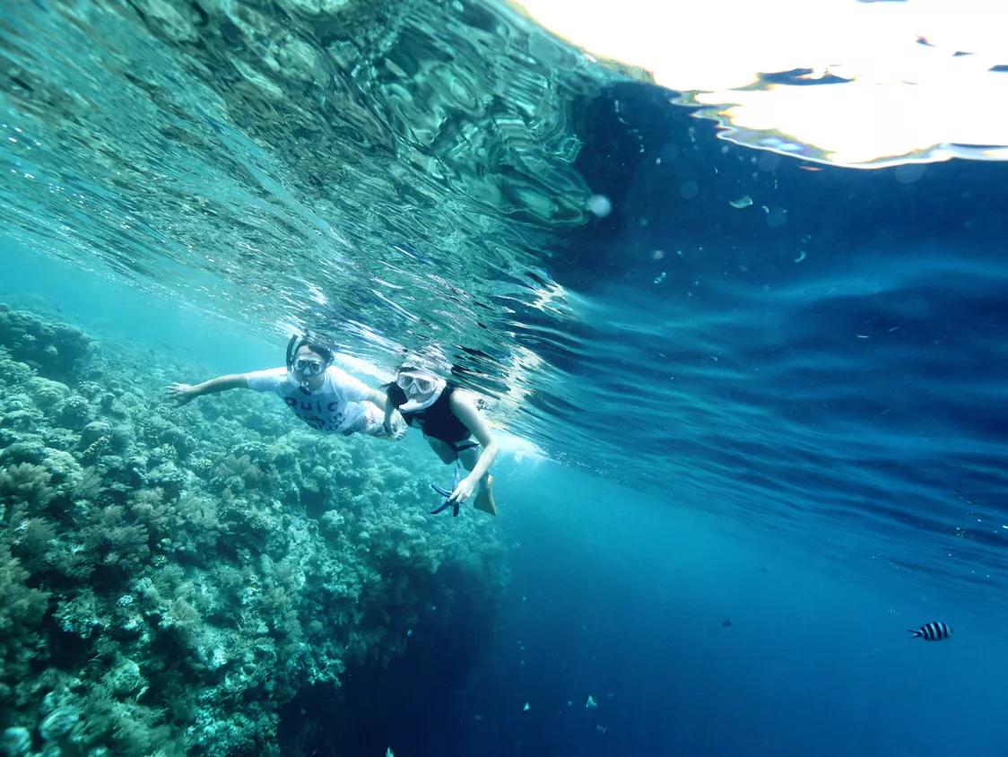 塞班岛和帕劳岛哪个好玩,马代帕劳最美的海岛