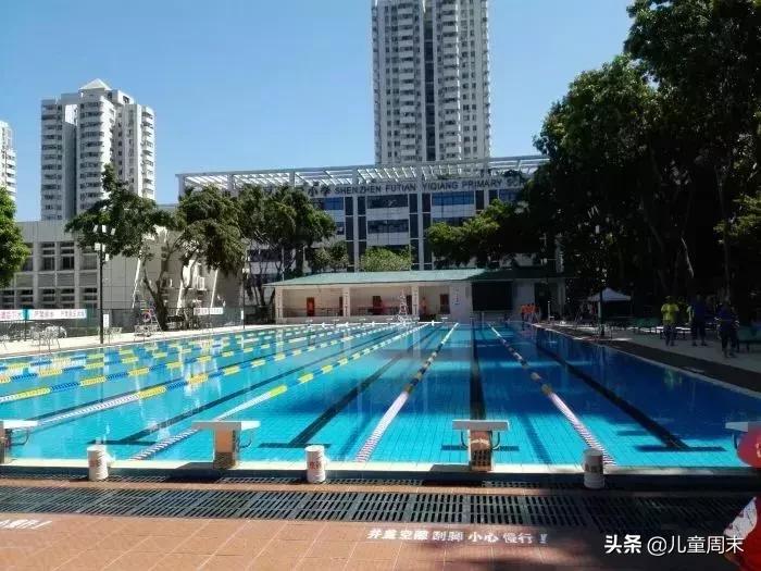深圳游泳教练培训学校有哪些,深圳成人游泳培训班哪里好