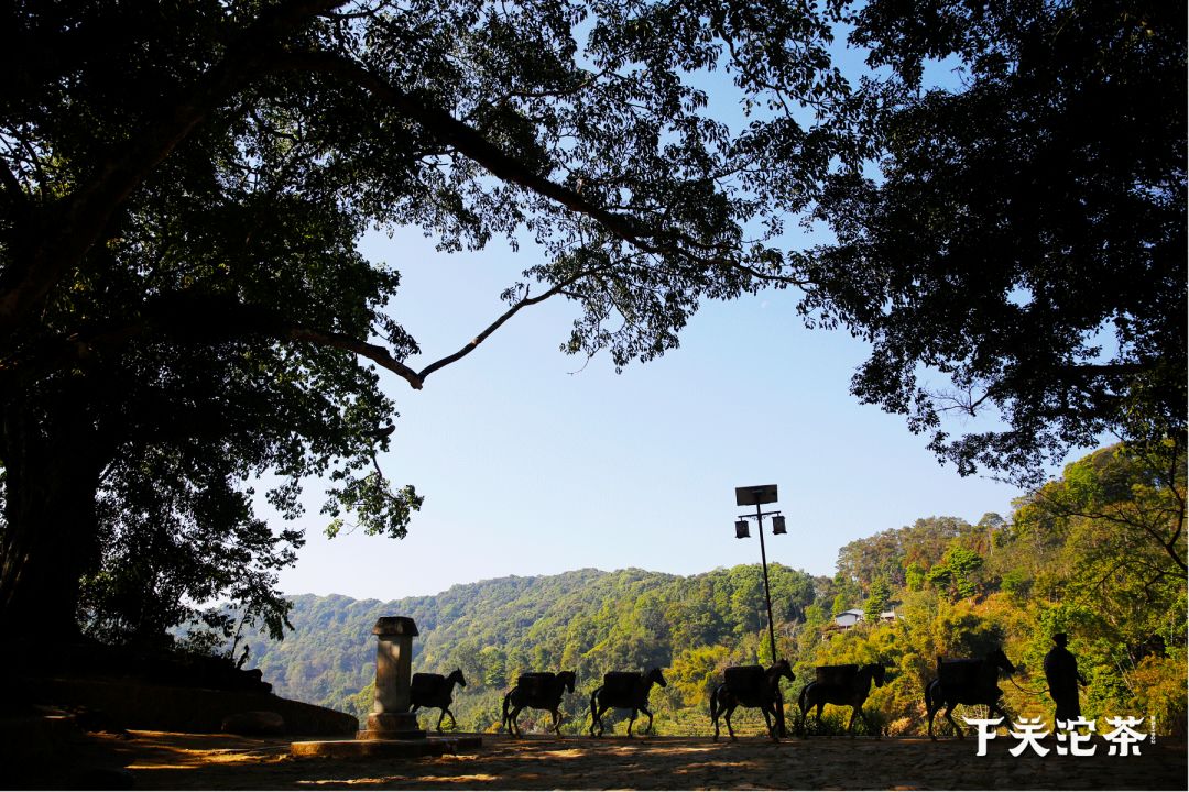下关南诏沱和南诏圆沱,下关沱茶南诏沱
