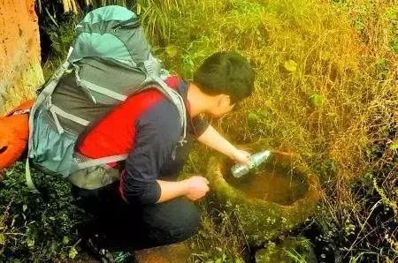 野外求生净化水的方法,野外生存取水的正确方法