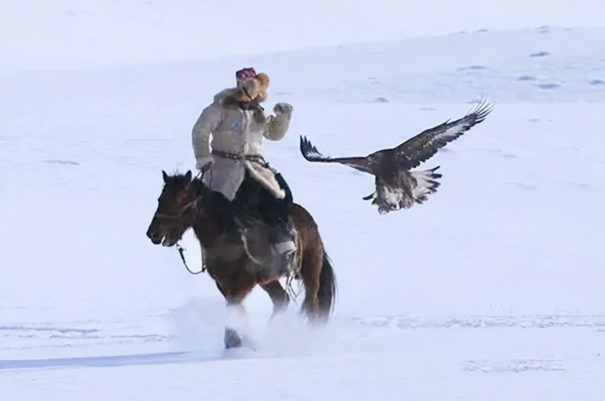 万鹰之神海东青结局,万鹰之神海东青视频