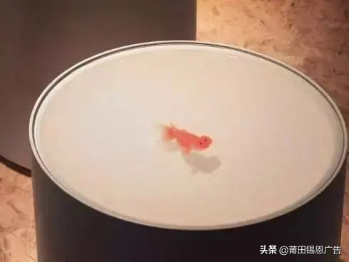 哈哈！这样的设计真的让人跌了跟头呀