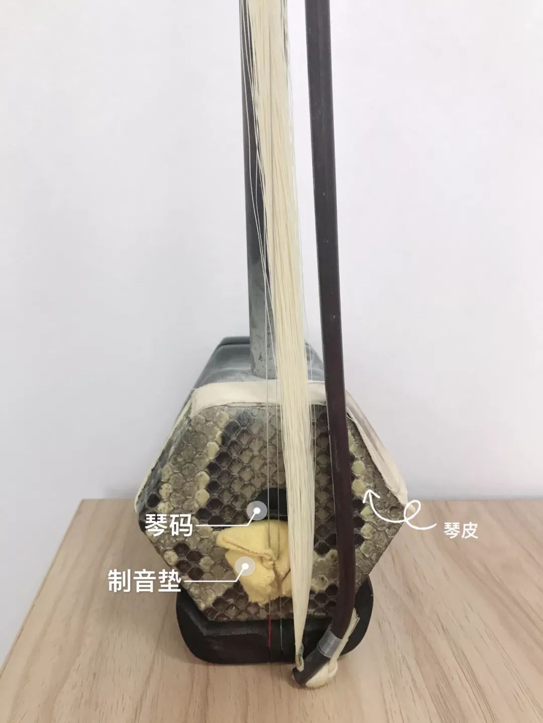 让艺术走进生活视频,让艺术走进校园