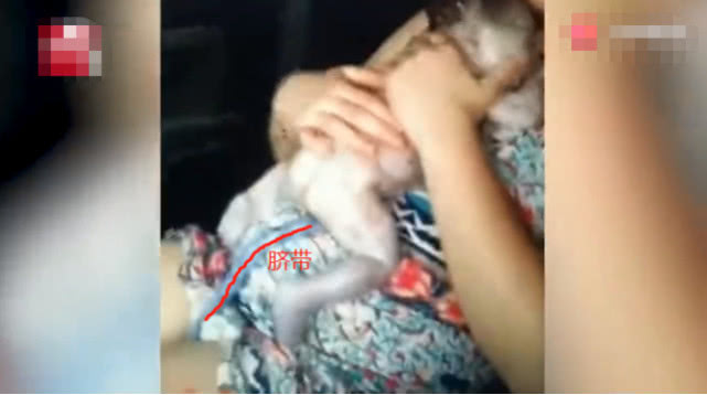 妻子怀胎6个月生孩子,妻子半小时产下孩子