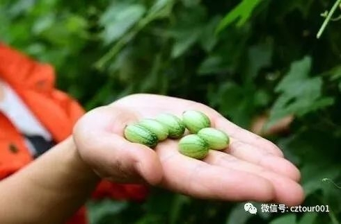 常州这10个被全省表彰的“网红村”、“创意园”，你去过吗？