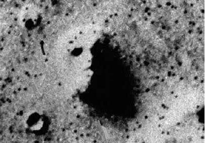 为什么有些女人戴口罩会变好看,为什么好多女的上街戴口罩