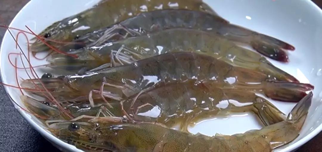 冻大米虾粥的做法大全,大米大虾蔬菜粥怎么熬才好喝