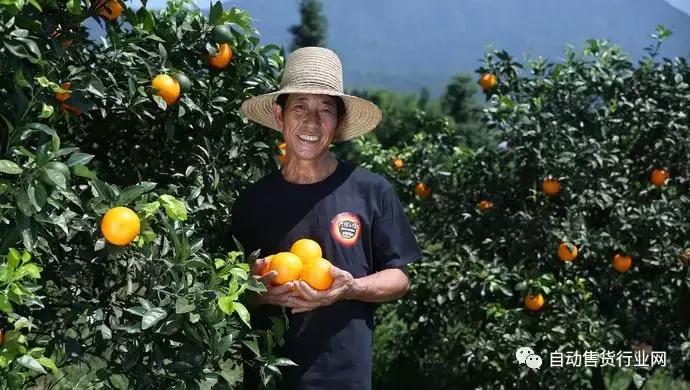 榨橙汁机热销榜第一名全自动,橙汁机热销榜第一名汁渣分离商用