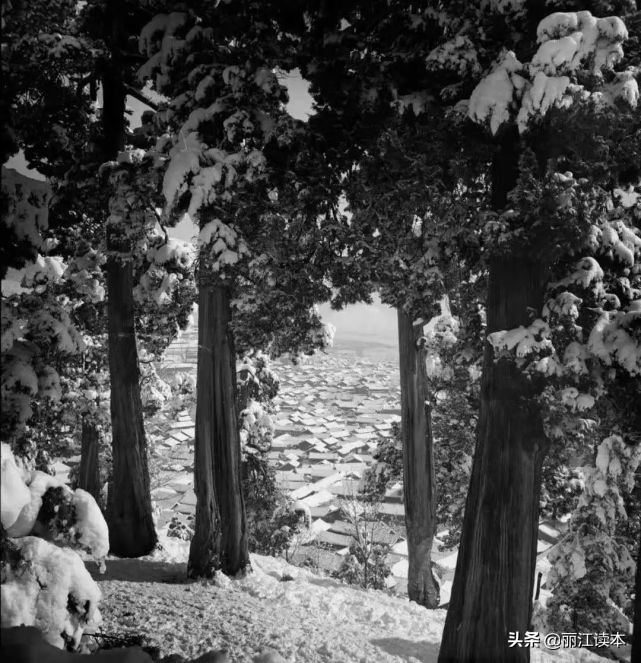 这个为丽江留下经典影像的“80后”纳若，居然上过战场剿过匪