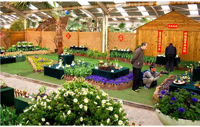 2022上海春节活动汇总,上海旅游文化节