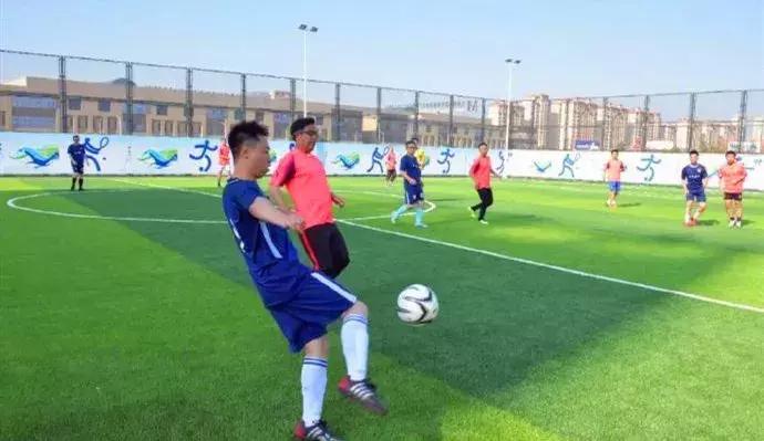 互联网体育新模式,互联网与体育的融合与创新