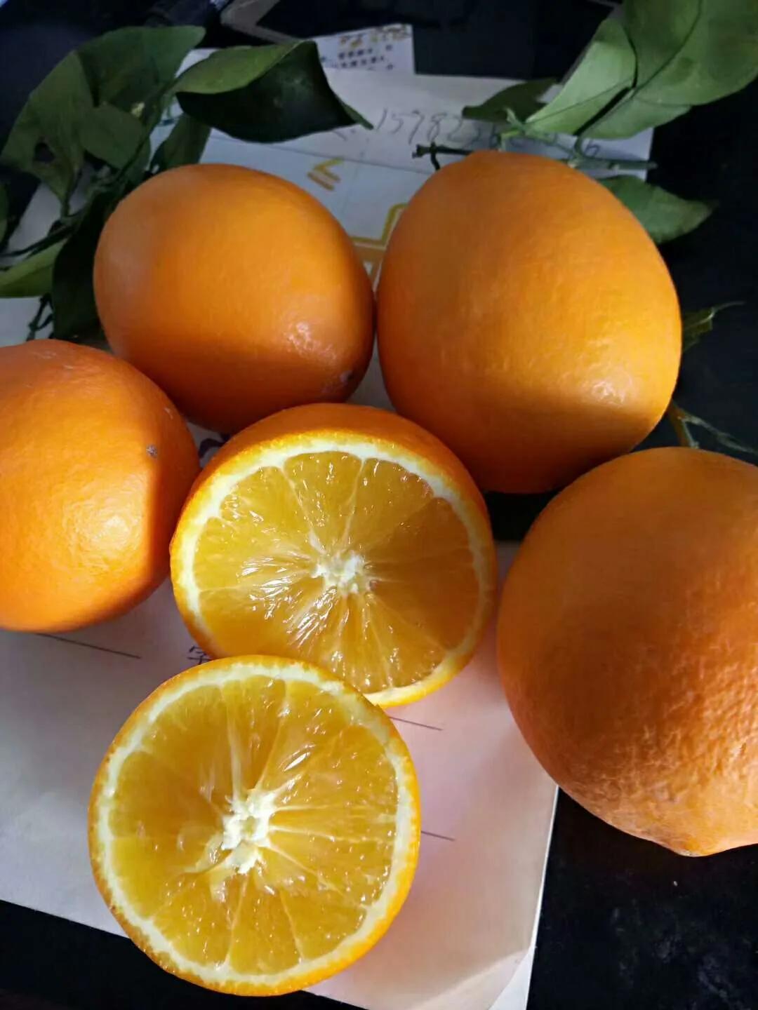 热带水果名单,热带水果王国攀枝花