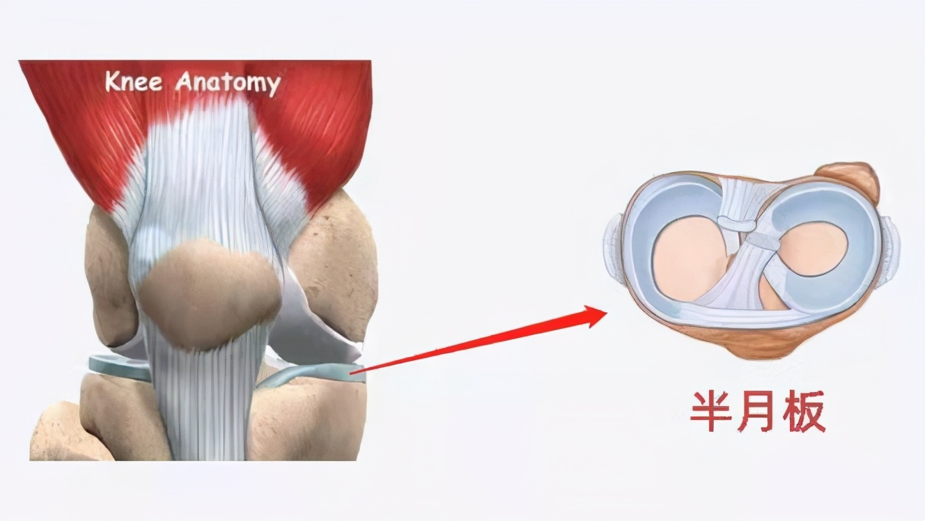 体育课常见的运动损伤及处理方法,运动损伤骨科