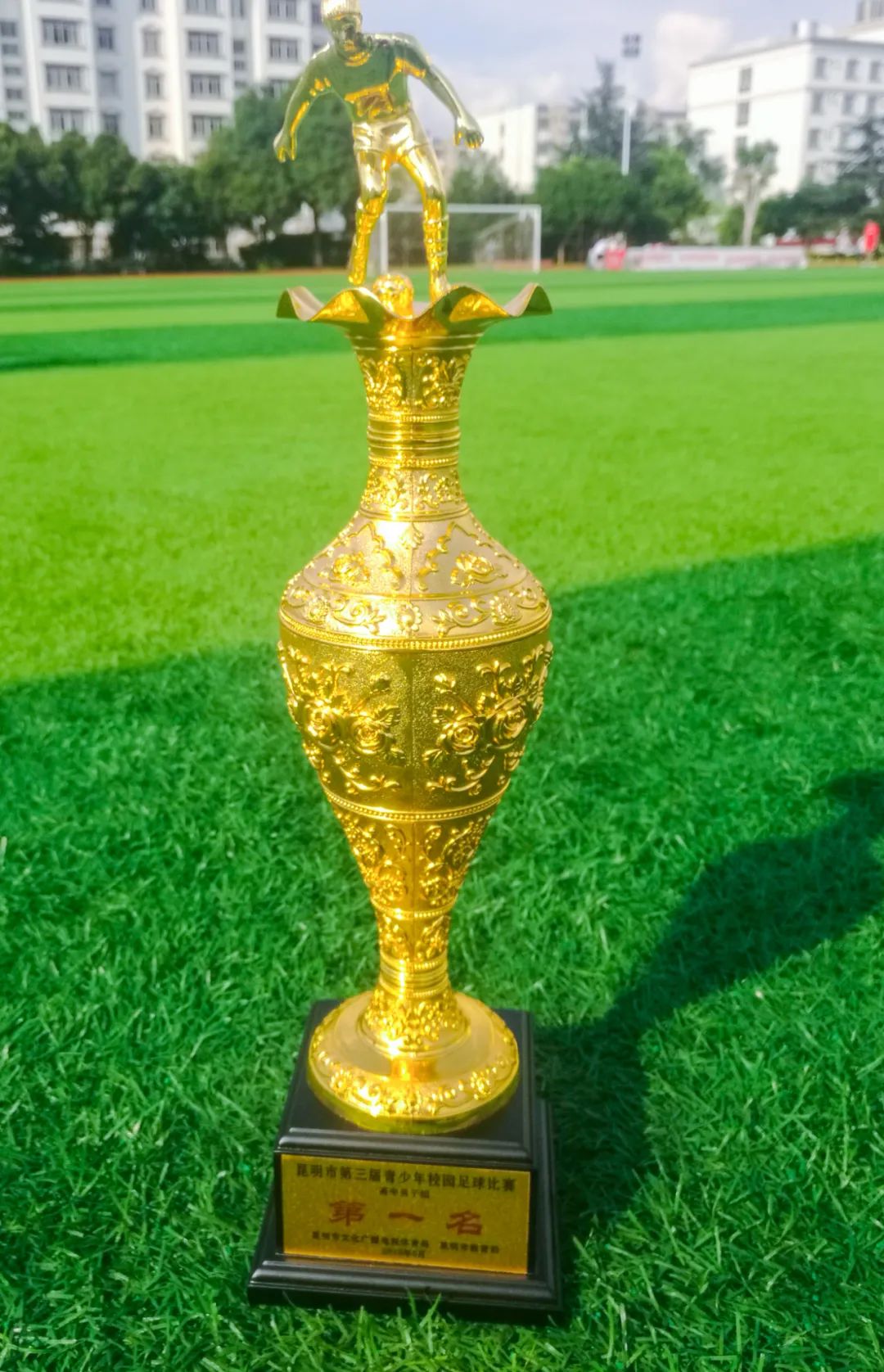 多元升学路径助力孩子圆梦名校,多元升学途径与学业规划