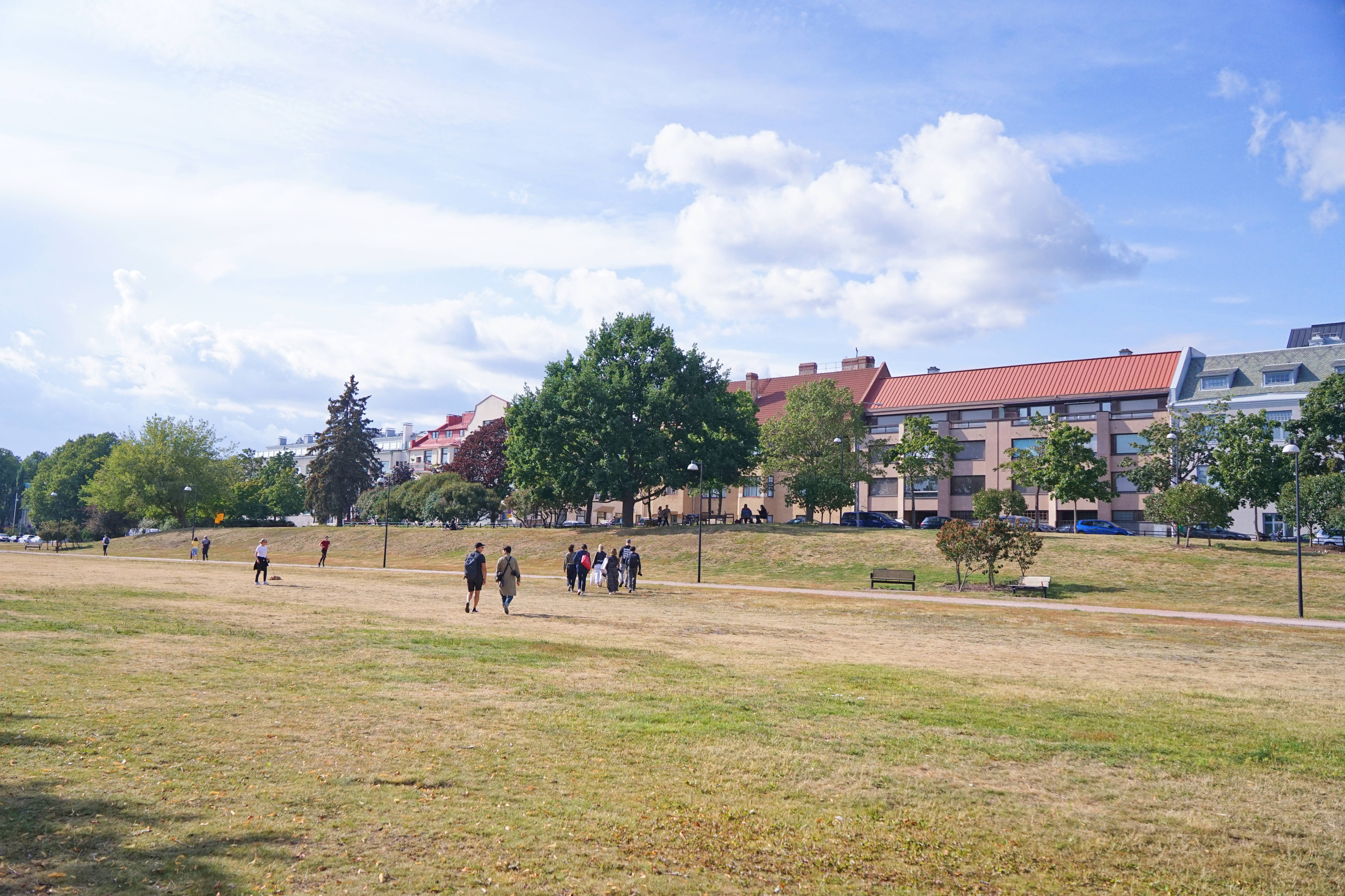 为什么欧洲国家都很喜欢铺草坪,欧洲人为什么喜欢草坪