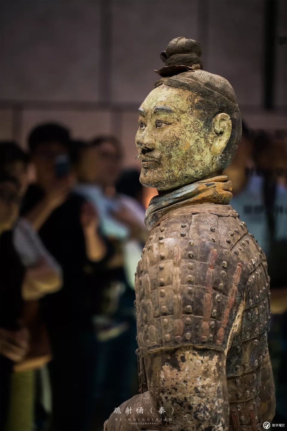 一起去博物馆发现古老的神器,陕西历史博物馆游览全攻略