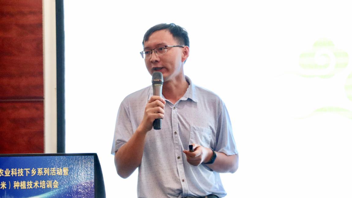 用好肥助力农业丰收,农资肥料下乡助农大丰收