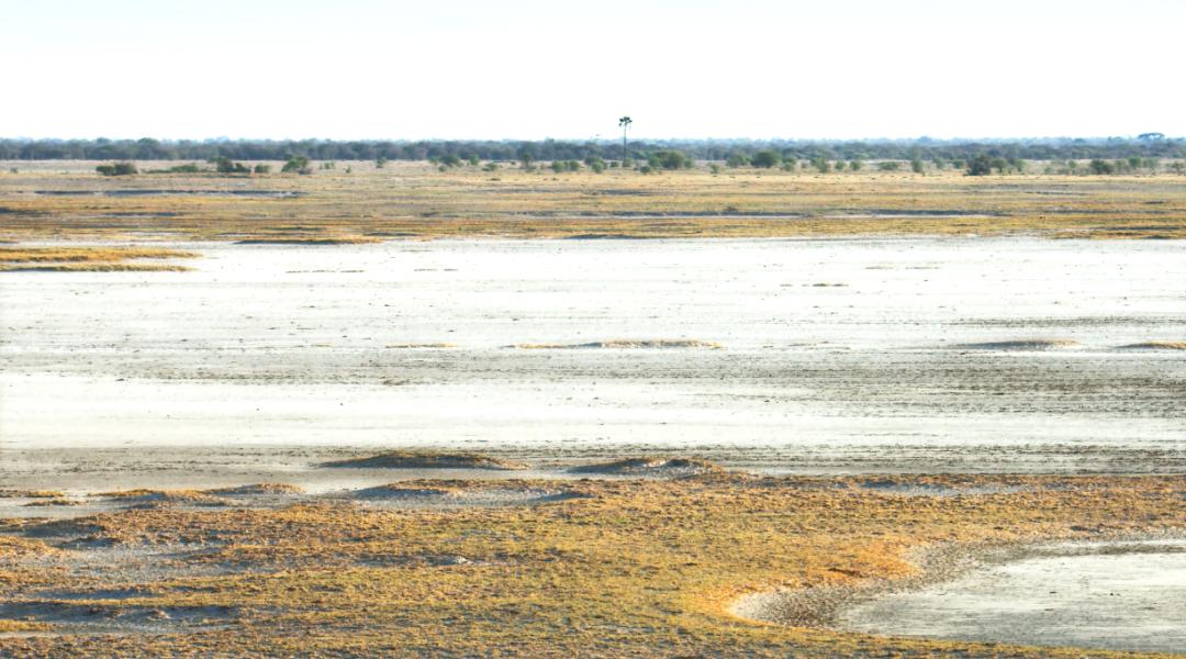 豆瓣评分9.5以上的国产电影有哪些,十部顶级神片推荐