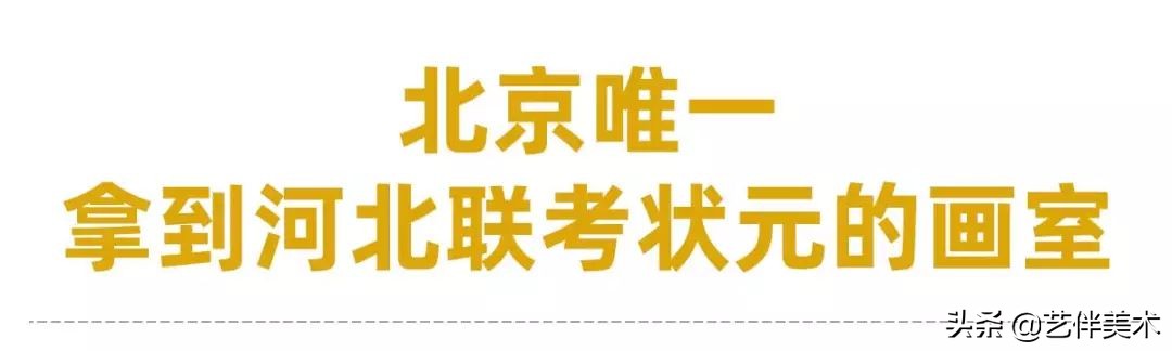 栾树画室宋庄校区,北京栾树画室集训费