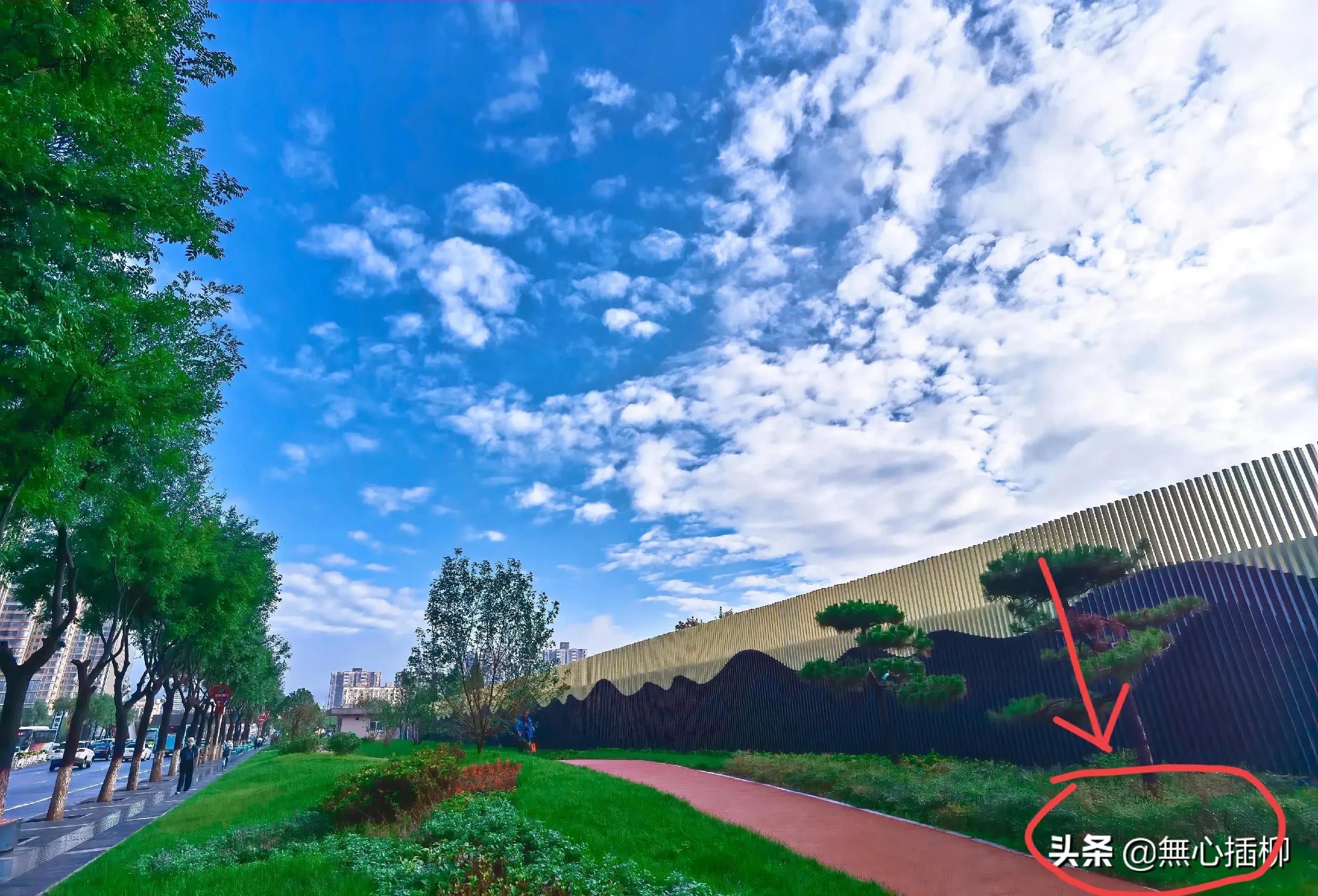 为什么头条发布作品没有原创选项,头条上发布原创文章如何避免重复