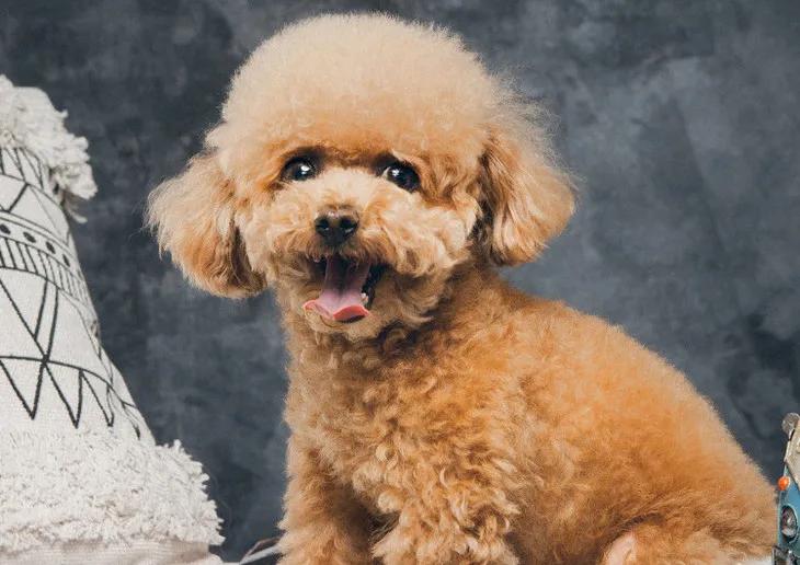 适合外出穿的家居服纯欲风,好看又能穿出门的居家服