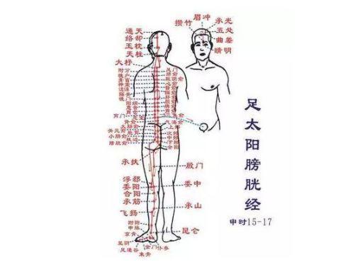 疏通膀胱经络排毒瑜伽,肾经膀胱瑜伽动作