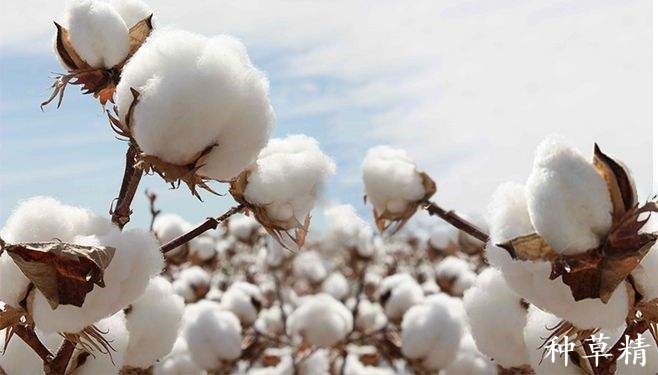 身上静电消除最有效的方法,睡衣有静电怎么快速去除静电