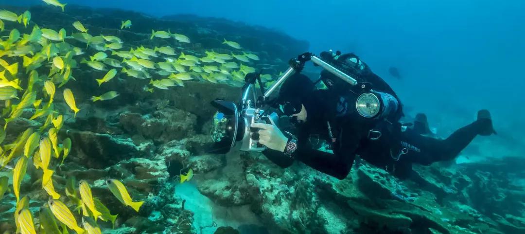 万元左右最保值的潜水表,万元内潜水表哪款最好