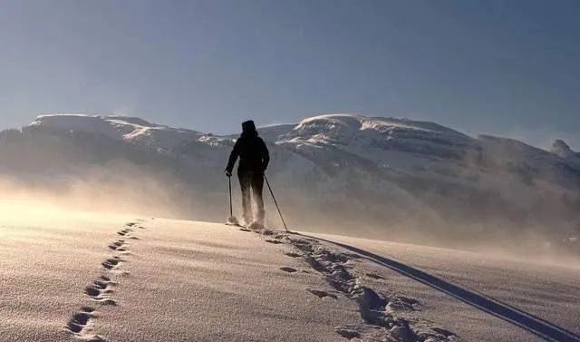滑雪危险事故,滑雪伤亡事件的教训和建议