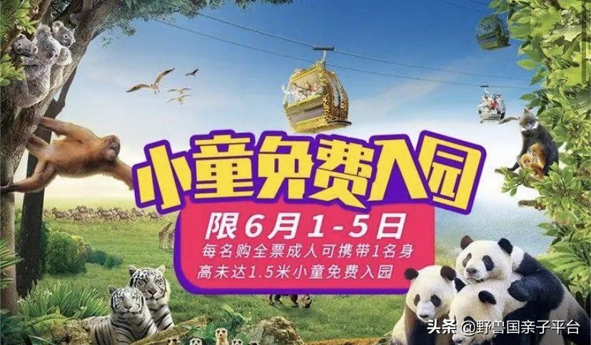 去哪里买长隆的票最划算,节假日游长隆如何少排队