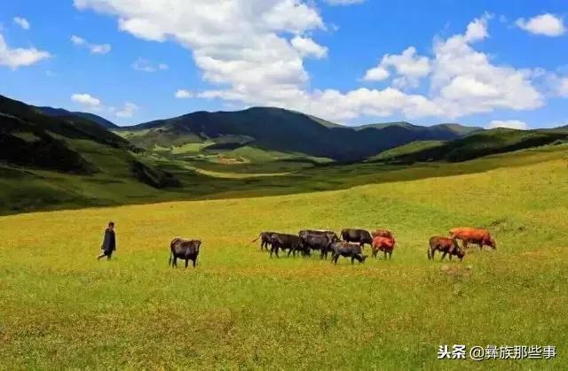 四川大凉山彝人的生活,大凉山彝族人的真实生活状态