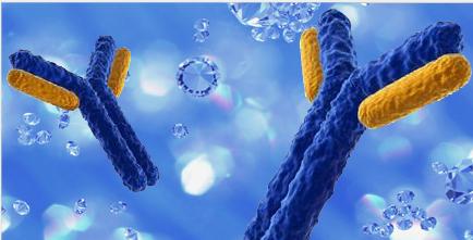 自身性系统性免疫性疾病会传染吗,自身免疫性皮肤病有哪些危害