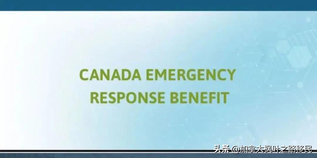 加拿大留学生签证最新政策,加拿大签证官最关心什么