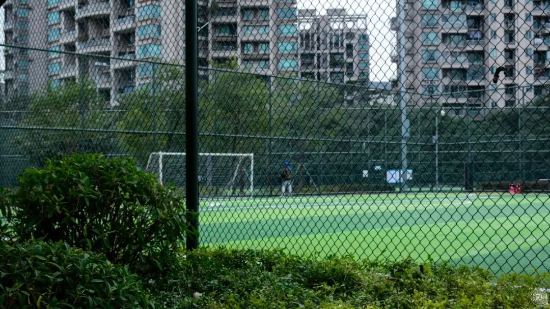 香蜜湖约会,香蜜湖真的要再见了吗