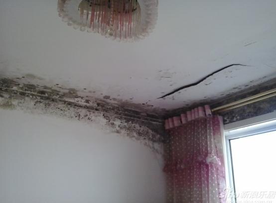 卫生间潜藏的致命菌,一个卫生间带来的困扰